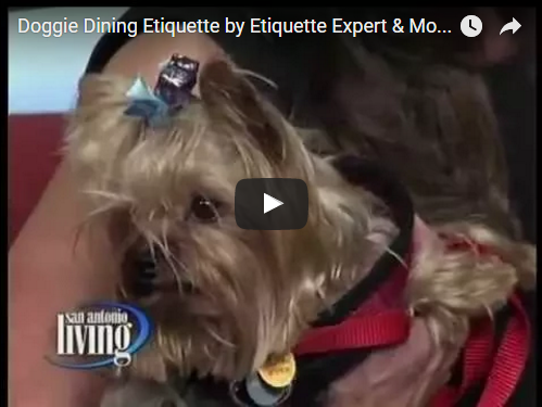 doggie dining etiquette